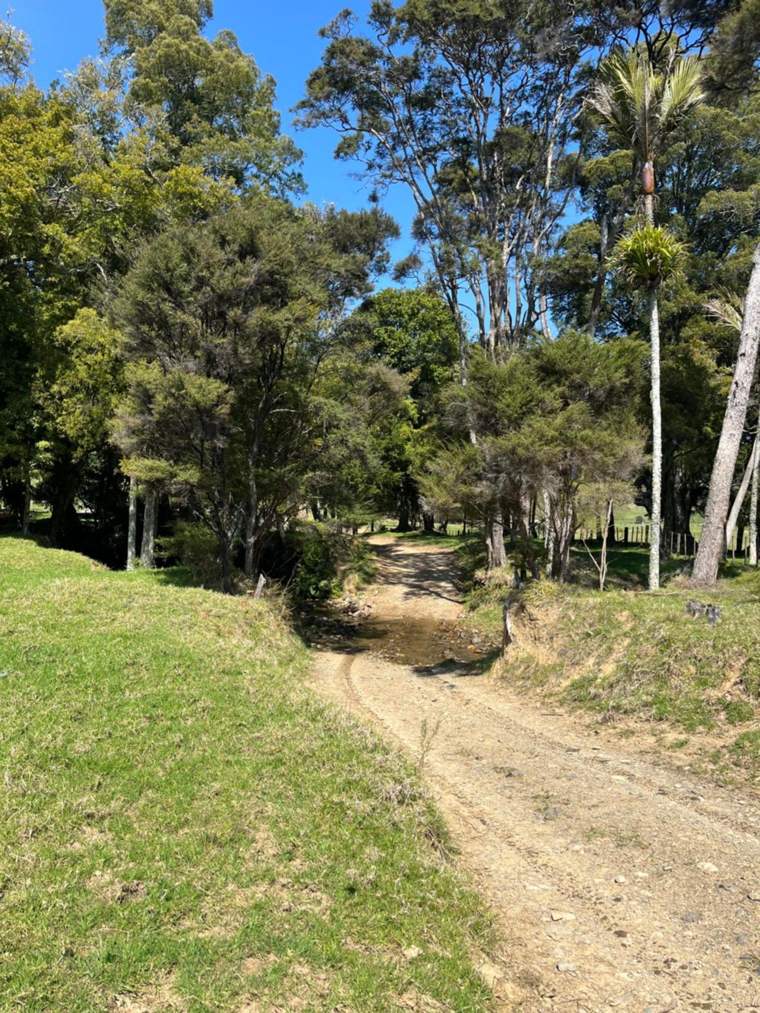 White Star Station Farm Coromandel
