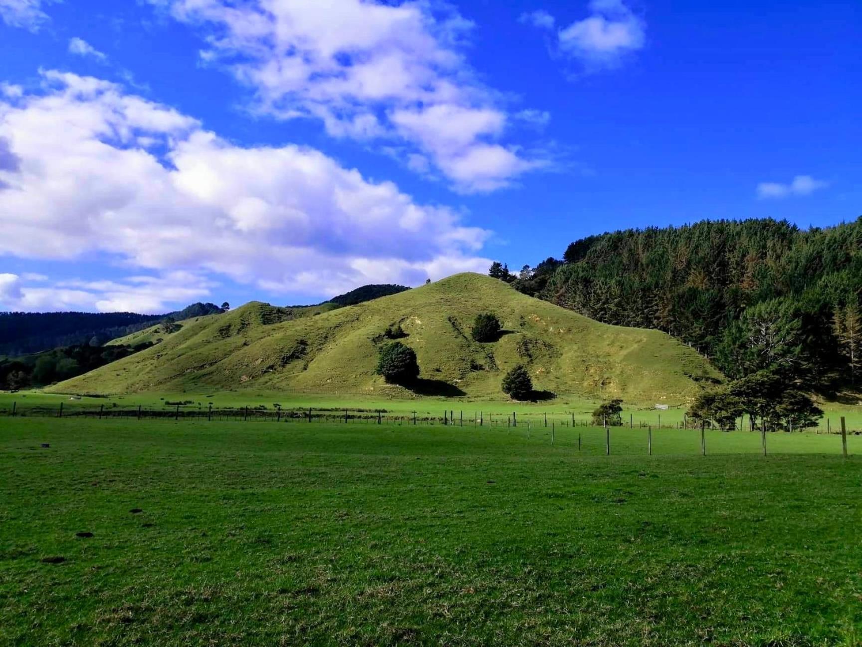 White Star Station Farm Coromandel