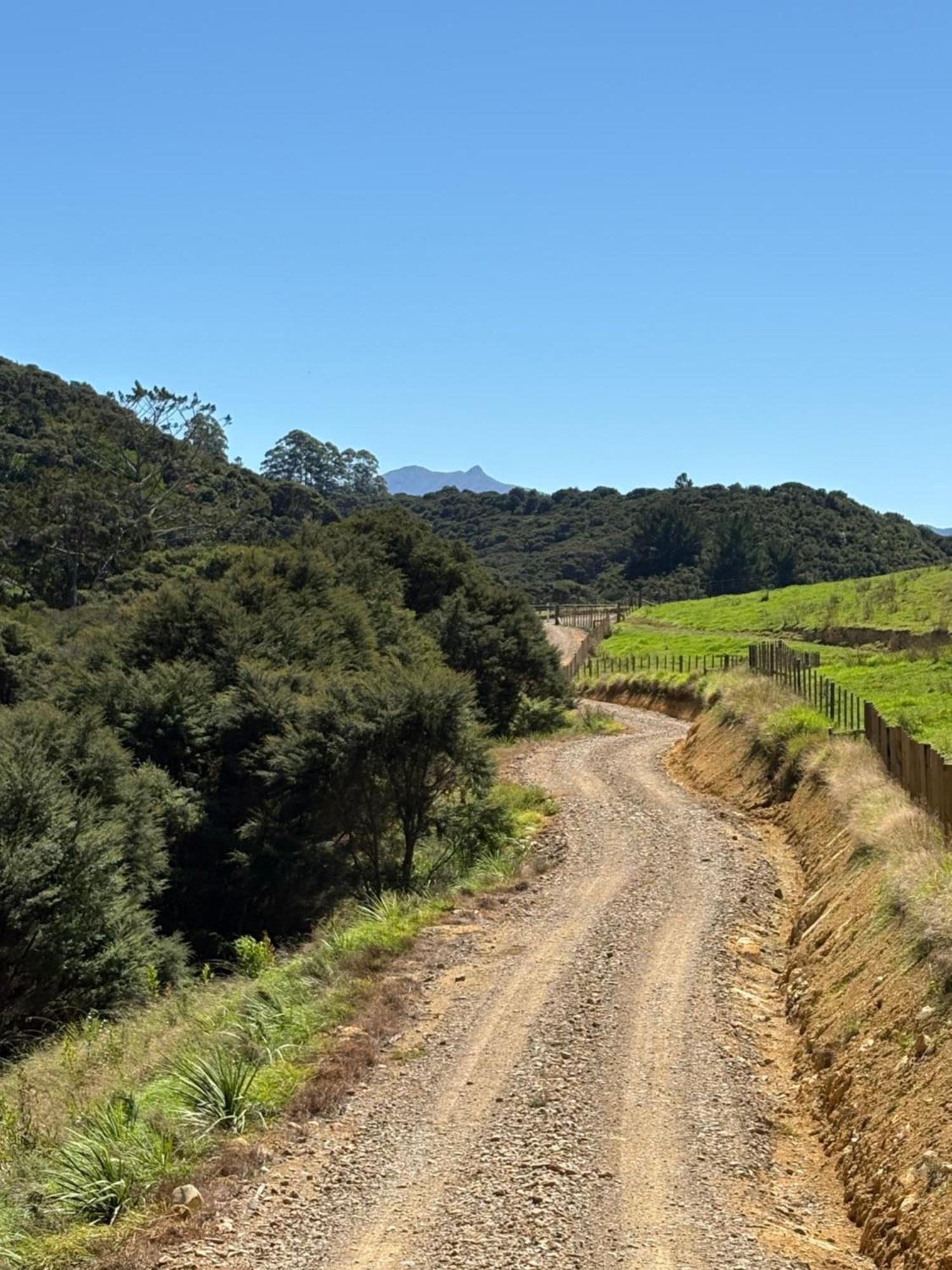 White Star Station Farm Coromandel